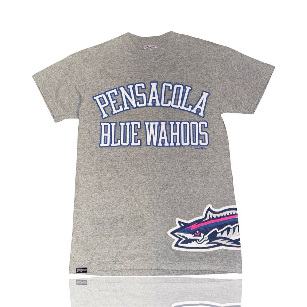 Pensacola Blue Wahoos Men's Gray Graphic T-Shirt Size S: Vintage Jansport tee